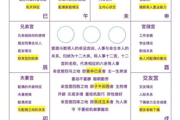 紫薇斗数富翁格局