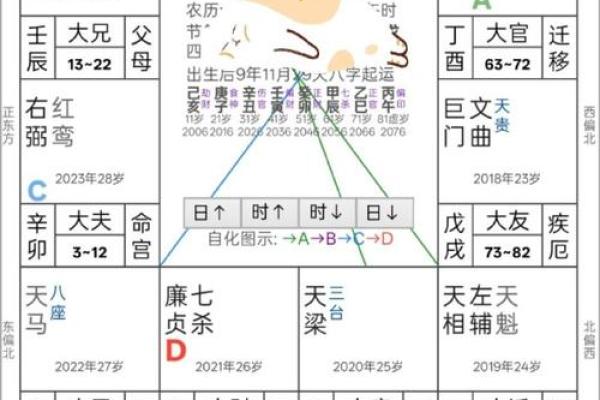紫薇斗数中凤阁什么意思