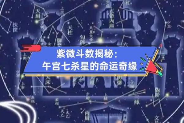 紫薇斗数看一生命运