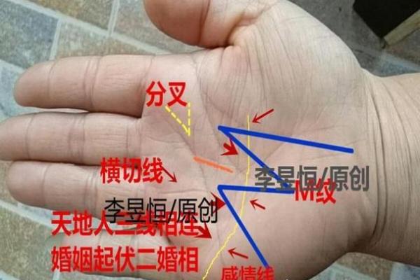手型算命：兼型手人的性格与命运