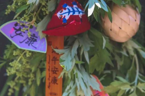 风水端午艾草挂艾草在门口寓意