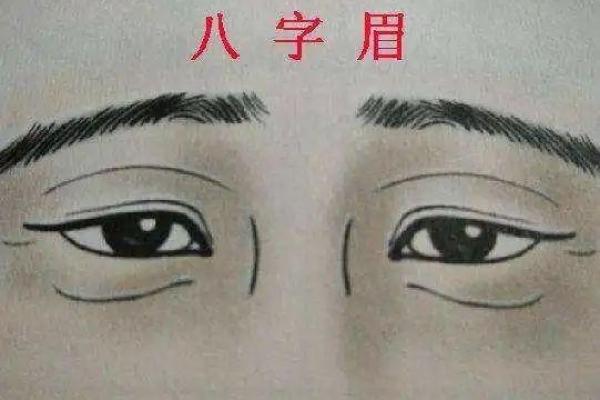 八字眉的面相