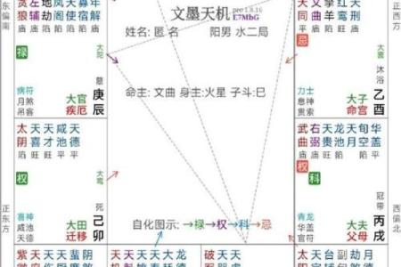 紫薇斗数带入法