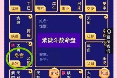 紫薇斗数一岁在哪里