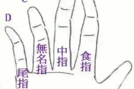 小指算命，小指的长度看你的性格和命运