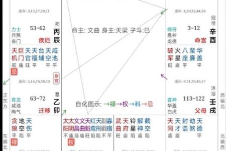 紫微斗数诸星落诸宫之：天机星子女宫详解