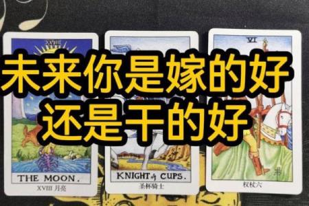 塔罗测试：你的未来身价