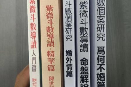 紫薇斗数全书简体