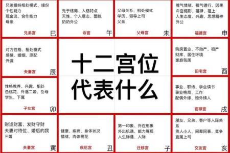 紫薇斗数每个格子什么内容