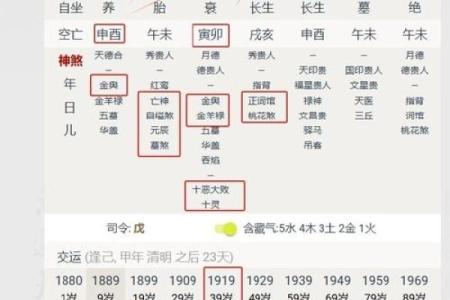 八字软硬