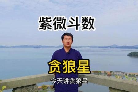 看紫薇斗数贪狼
