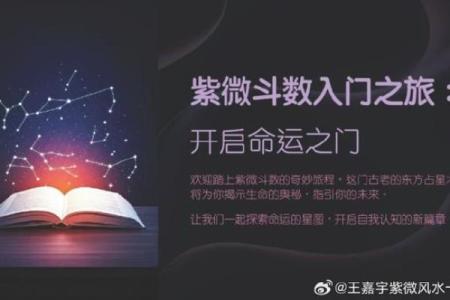 唐艺尹老师紫薇斗数算田宅宫：廉贞星坐守十二宫位置分析田产运