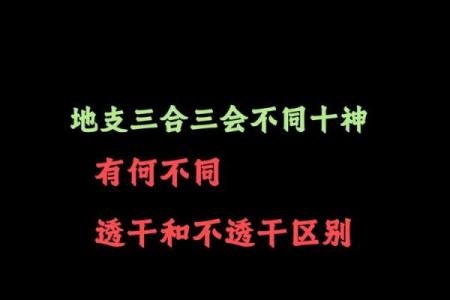 八字里三会局,八字中三会局