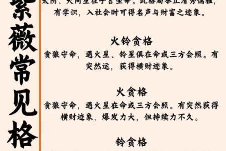 紫薇斗数官方网