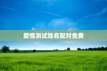 姓名配对爱情测试免费 姓名配对测试爱情免费测试？