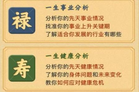免费排八字软件介绍，详细解析八字合婚原理及运势分析