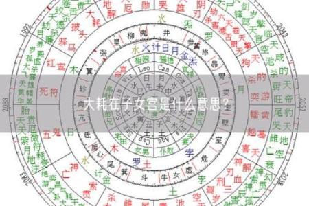 紫薇斗数中大耗是什么意思