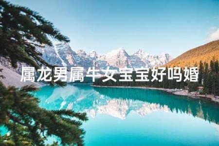 属龙和属牛的八字合吗