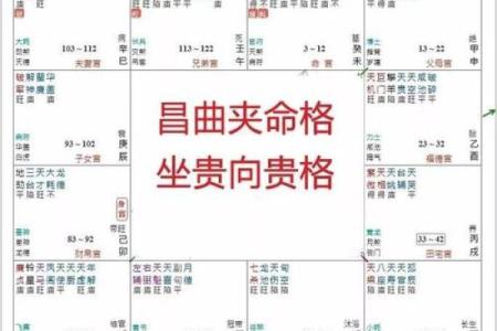 紫薇斗数富翁格局
