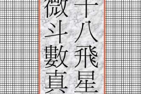 灵机紫薇斗数下载