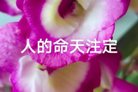 八字金水旺荣华富贵 是真的吗
