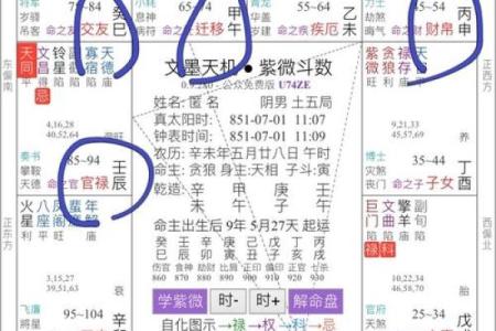 紫薇斗数在哪里学