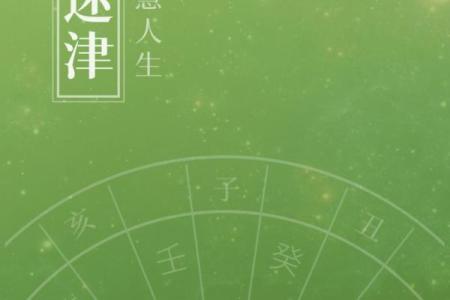 民间紫薇斗数高手