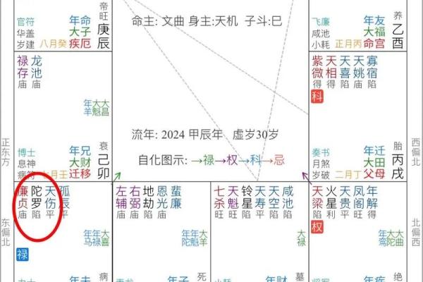 紫薇斗数夫妻同盘