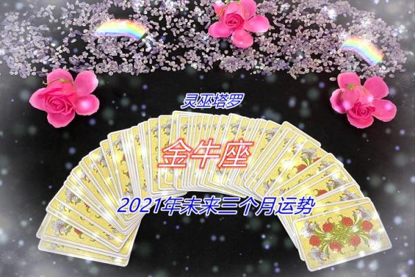 八字命盘-白牛运势解析，详细分析白牛性格特点及未来运势