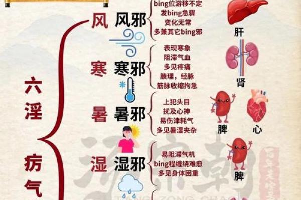 八字看健康；和中医的共通之处