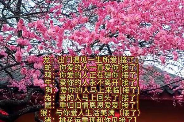 免费缘分测试网 缘分测试超准？