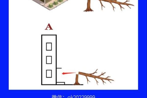 风水隔角煞对夫妻宫有哪些危害
