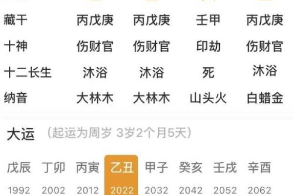 八字火命