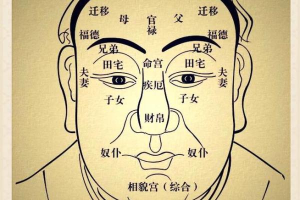 相面算命看见鼻孔好吗