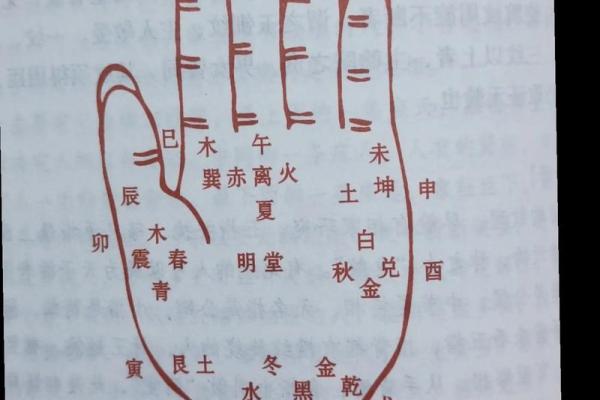 如何看手相算命看手相怎么看 如何看手相算命图片大全图解