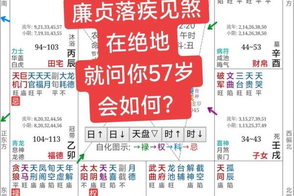紫薇斗数里遇是什么意思