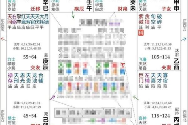 紫薇斗数丈夫富贵