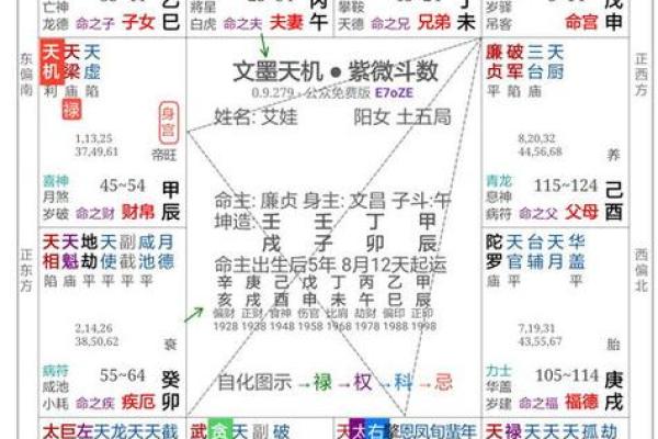 紫薇斗数疾厄戊申