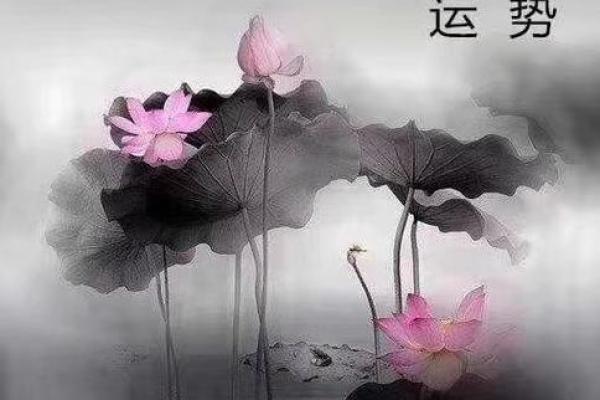 一直拖着感情，八字看你命中什么时候合适结婚