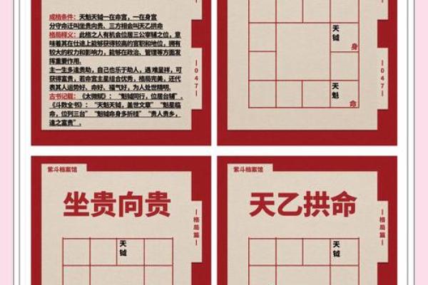 紫薇斗数与名字
