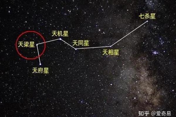 今天我们来聊聊紫斗中的天梁星，你的天梁星在哪呢#紫微斗数