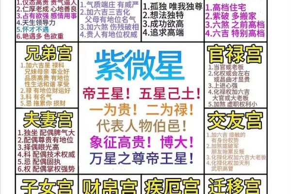 紫薇斗数拍盘