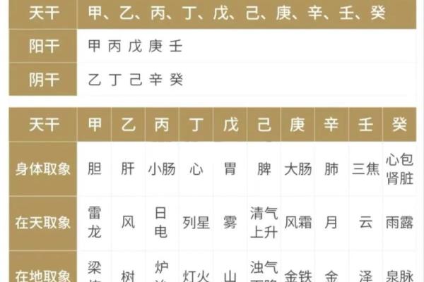 八字五行力量强弱非要看“地支”吗？“天干”的“气势”也很重要