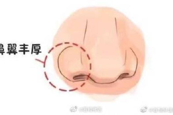 鼻头大的男人面相在风水中有哪些含义