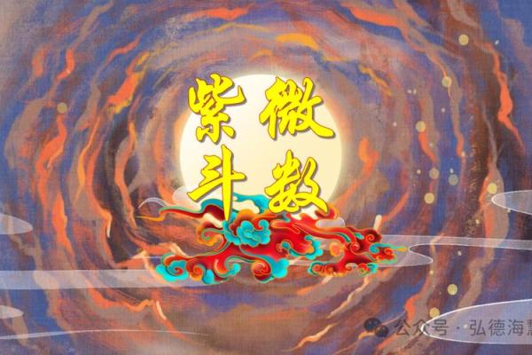 艺术紫薇斗数