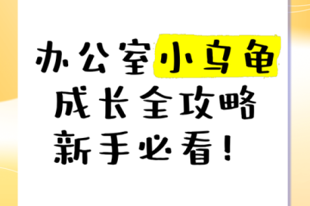 办公室养龟有什么风水说法讲究