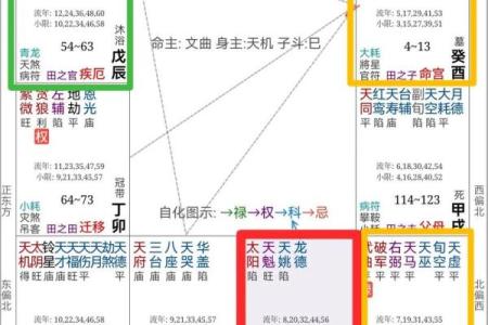紫薇斗数夫妻同盘