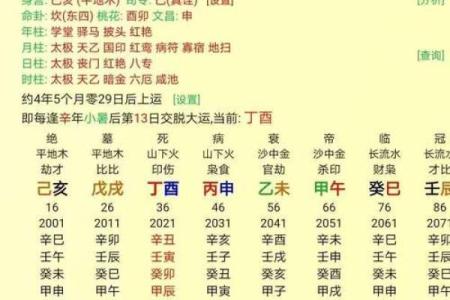 如何根据八字时支帝旺找到最佳职业？