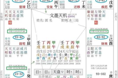 紫薇免费算命准不准？详解紫薇的命理学特点