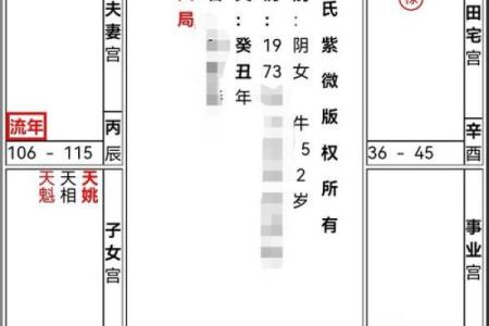 紫薇斗数看理财
